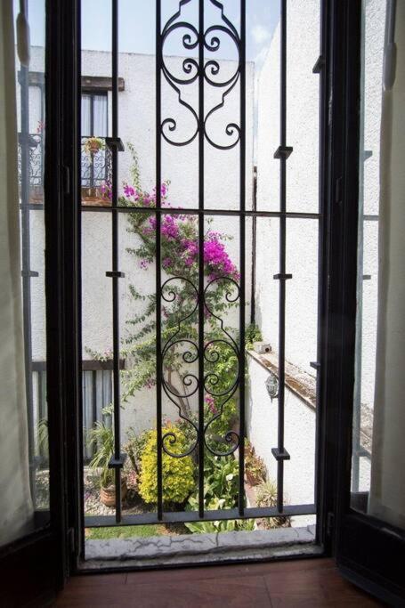 Villa Casa Ayvar. Espectacular Villa Colonial En El Corazon De Coyoacan. Mexico-stad Buitenkant foto